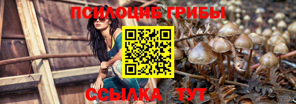 Псилоцибиновые грибы Psilocybine cubensis  Галлюциногенные грибы Cubensis  Кимовск  Вход с VPN 